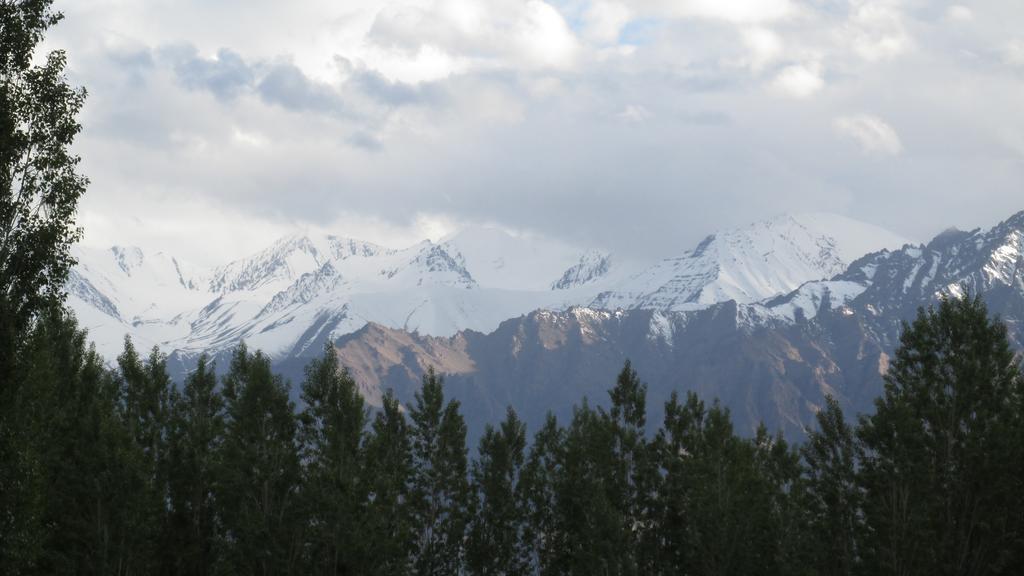 Streamlet Homestay Leh Kültér fotó